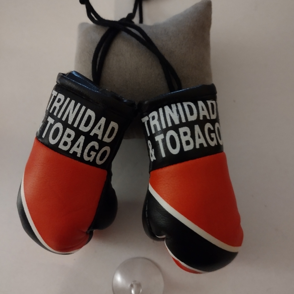 COPY - Mini glove with country flag and name.
